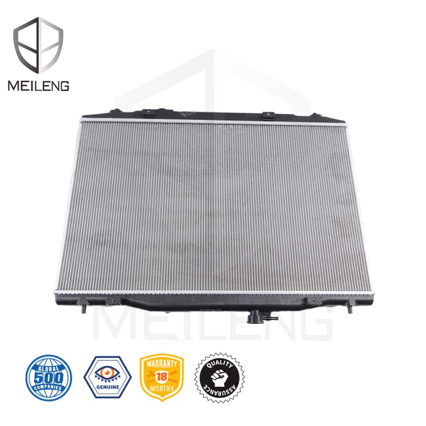 19010-5YF-A01 Radiator water tank