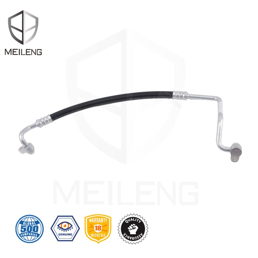 80315-30G-H01 Discharge Hose