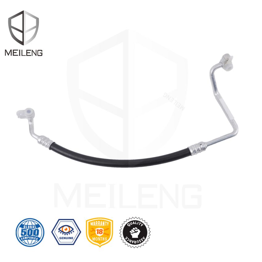 80315-30G-H01 Discharge Hose
