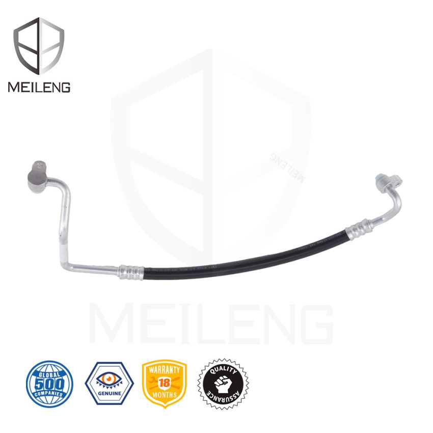 80315-30G-H01 Discharge Hose