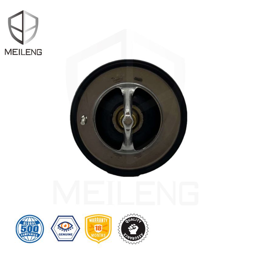 19301-P8E-A10 Car Engine Coolant Thermostat Assy for Honda