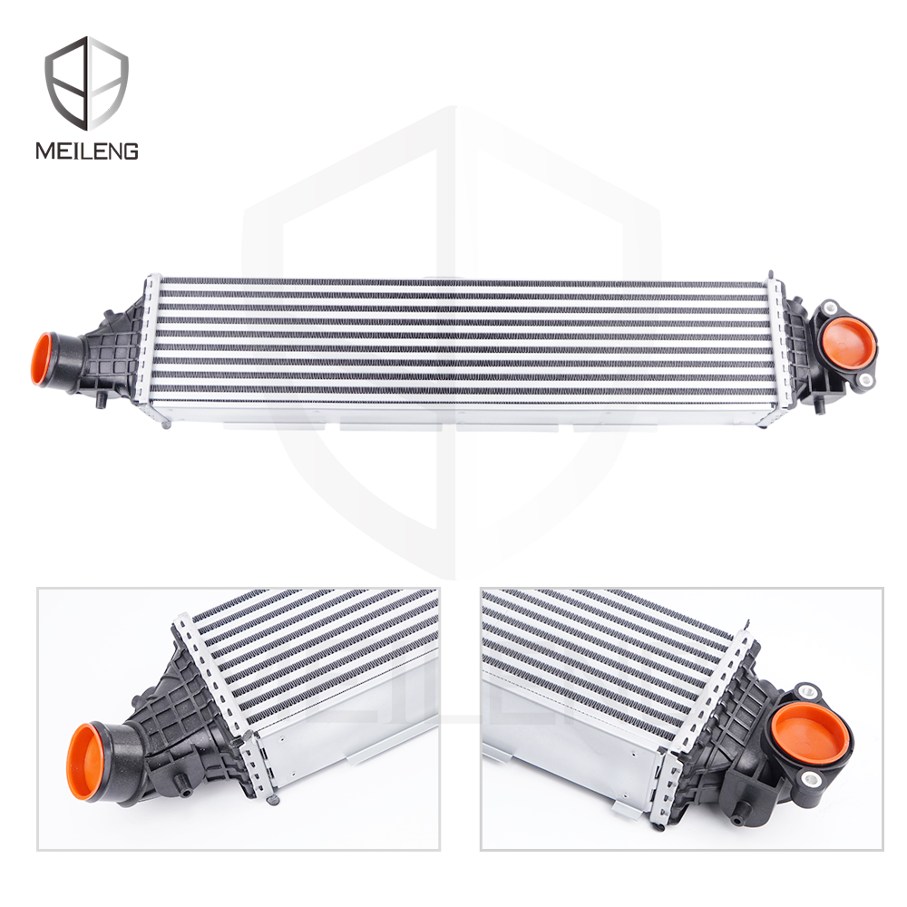 19710-5MS-H01ASDK 04 - MEILENG AUTO PARTS 197105MSH01 Intercooling Water Tank for Honda